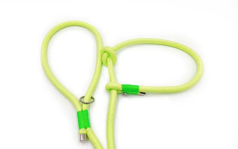 retrieverleine lemon 1